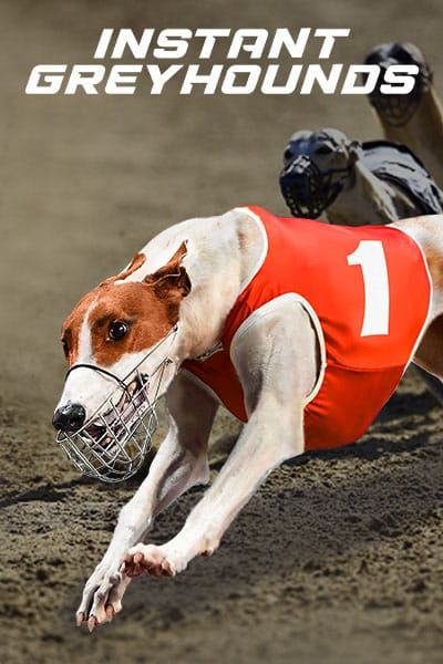 Instant Greyhounds