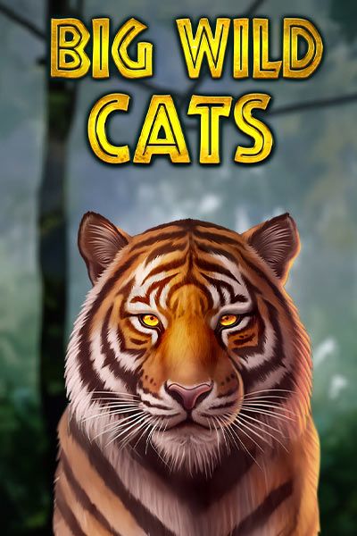 Big Wild Cats
