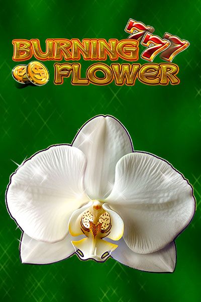 Burning Flower